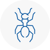 Ant Removals In Market Deeping