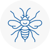 Market Deeping Hornet Nest Removals
