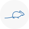 Mice Exterminators In Market Deeping