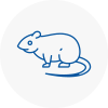 Rat Control Market Deeping