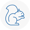 Market Deeping Rodent Removals