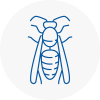 Market Deeping Wasp Nest Removal